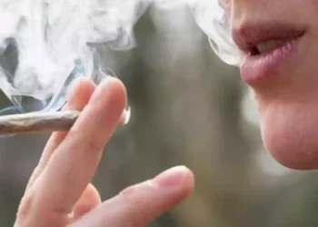 Até 40g de maconha é usuário, + de 41g será considerado traficante, define STF