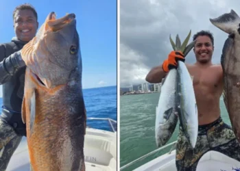 DESAPARECIDOS EM ALTO MAR: Pescadores de Anchieta/ES sumiram no domingo (28)