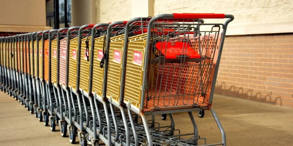 Carrinhos-de-supermercados