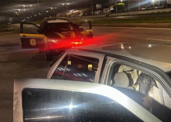 Bodes e carneiros roubados são achados pela PRF dentro de carro em PE